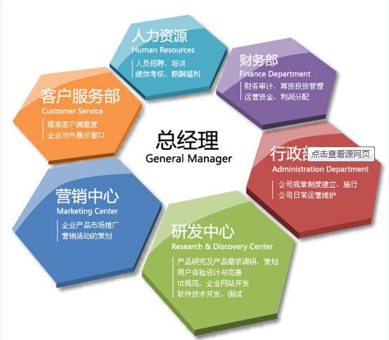 軟件研發與推廣企業的組織結構設計